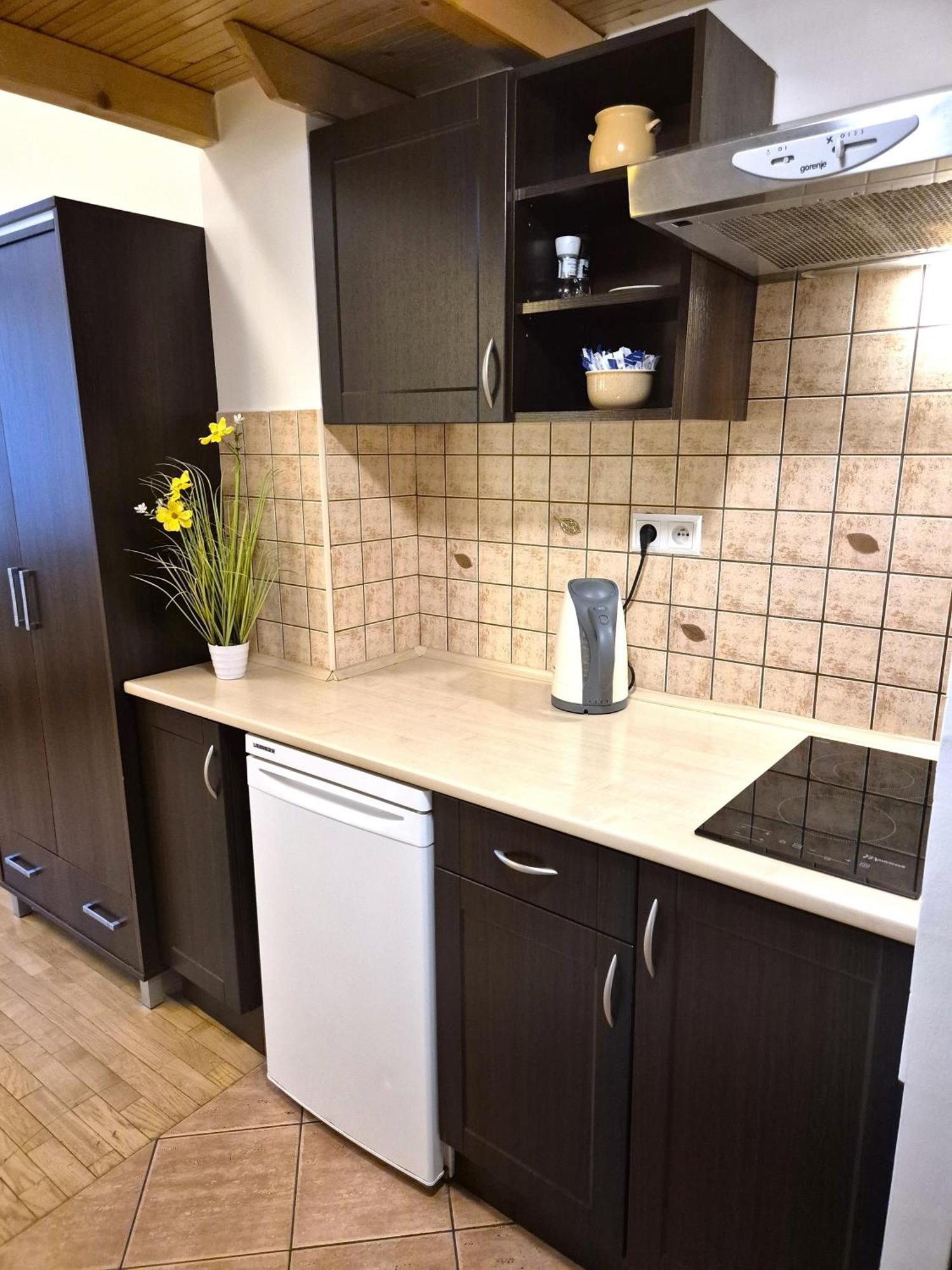 קרקוב Safona - Pantheon Apartments מראה חיצוני תמונה